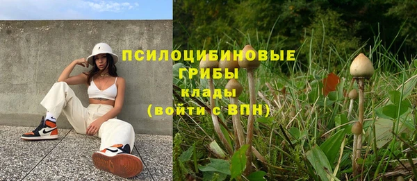 Альфа ПВП Богданович