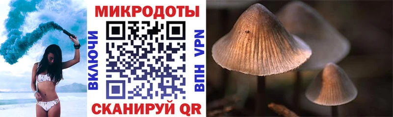 Галлюциногенные грибы Magic Shrooms  Купить где  Тосно 
